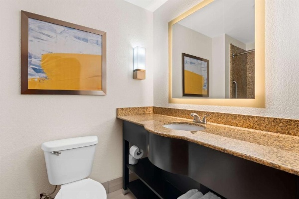 Comfort Suites Augusta image 26